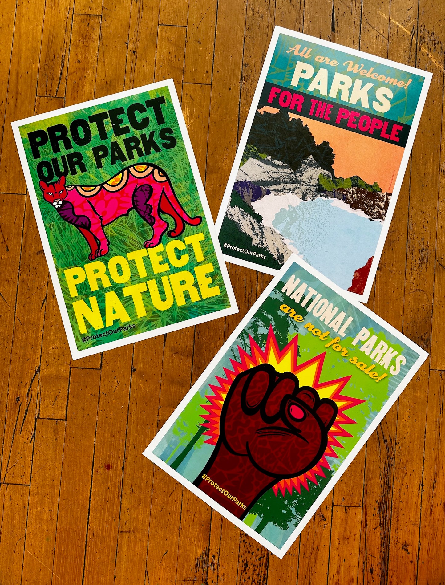 Protect Our Parks: Poster Set of 3