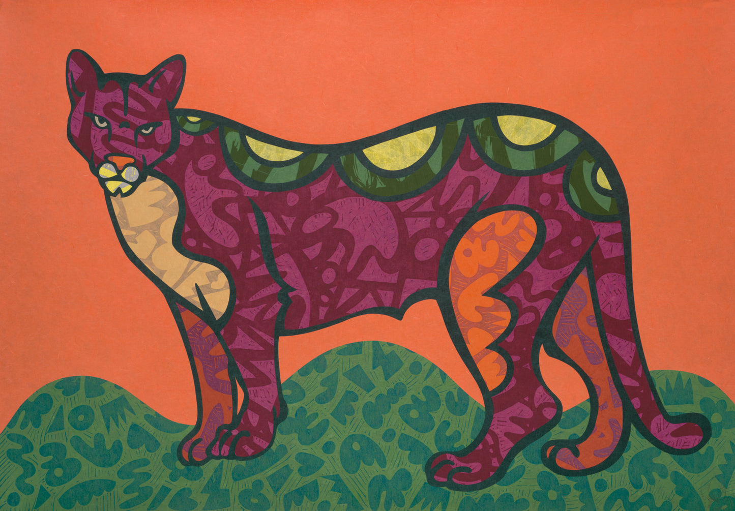 Bay Area Cougar I