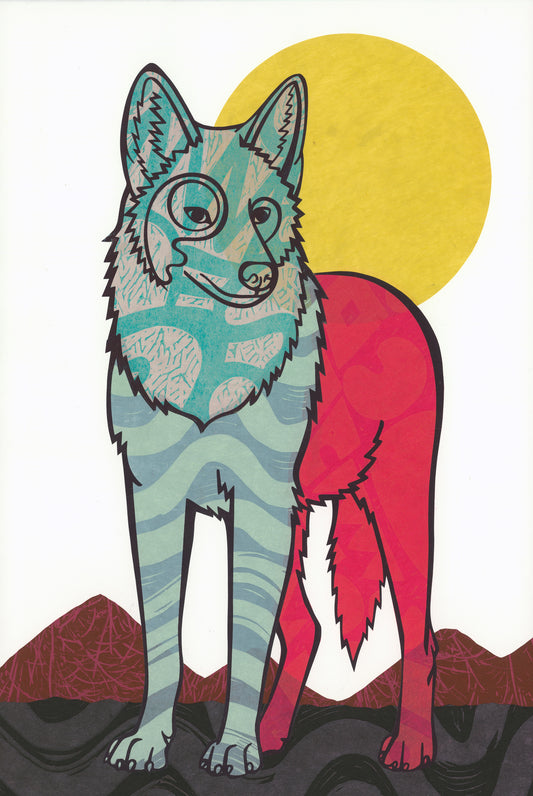 Coyote E.V. 16/24