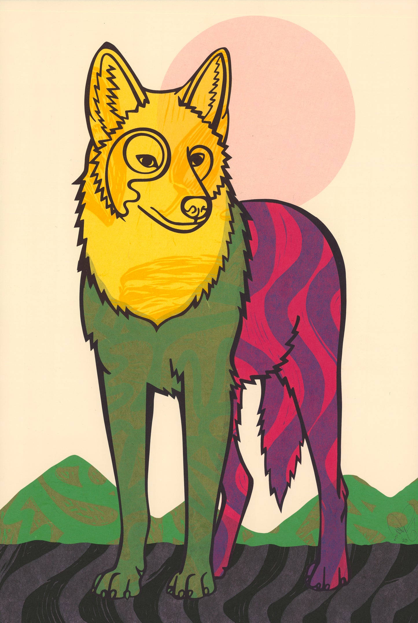 Coyote E.V. 17/24