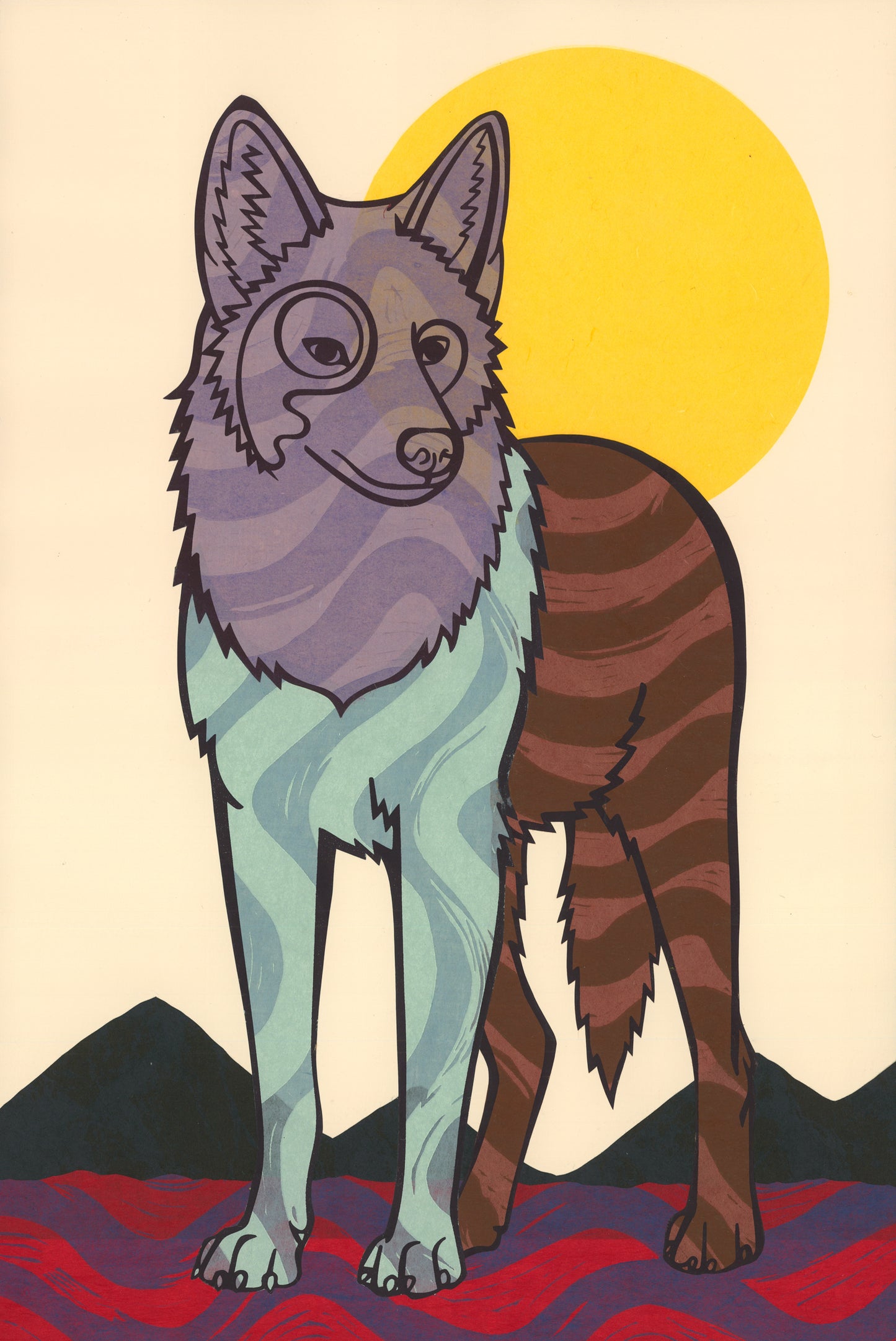 Coyote E.V. 20/24