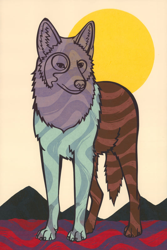 Coyote E.V. 20/24
