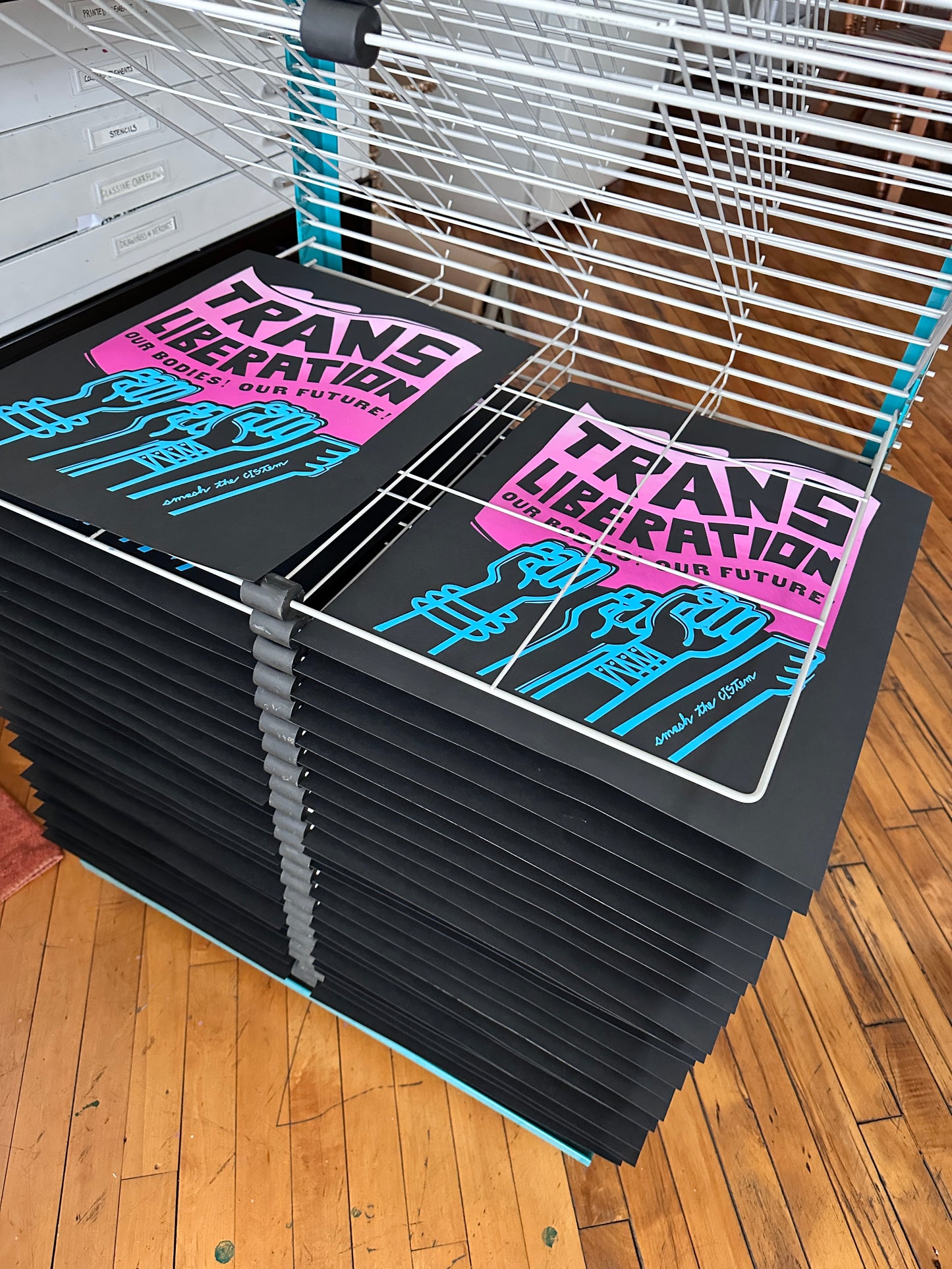 Trans Liberation