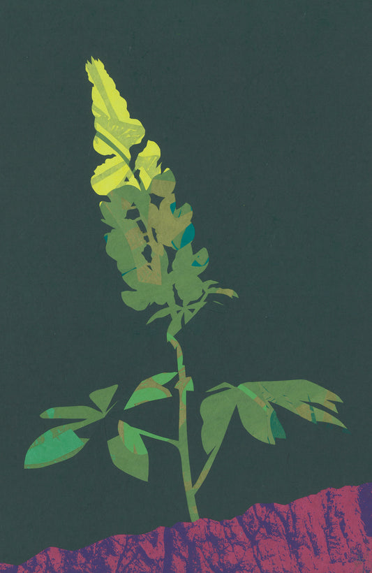 Leafsong IV