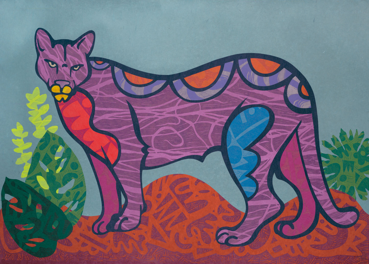 Bay Area Cougar III