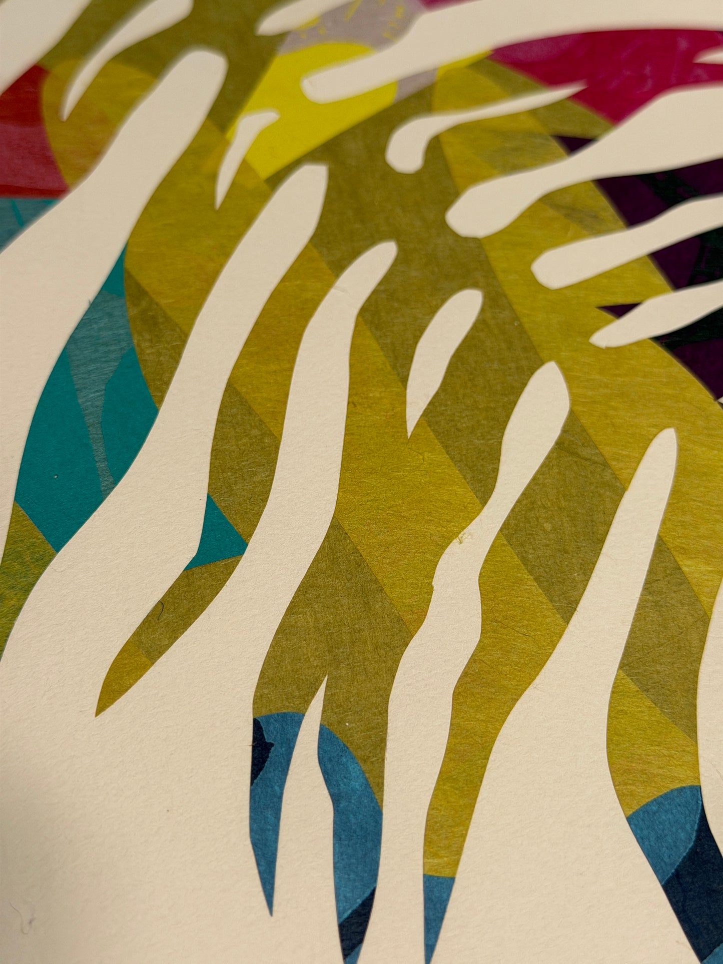 Fern Study