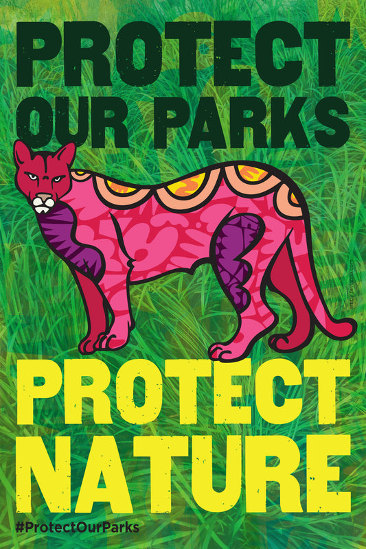 Protect Our Parks: Poster Set of 3